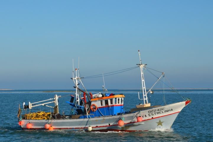 Embarcação Cerco/traineira