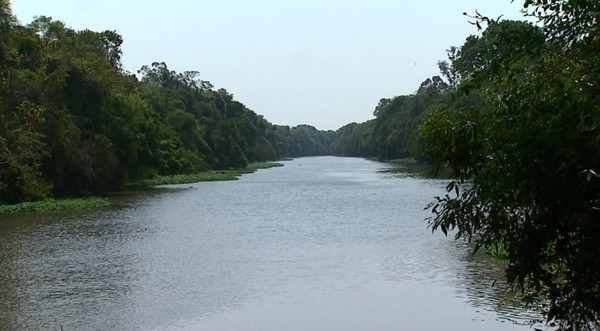 Rio Mogi-Guaçu